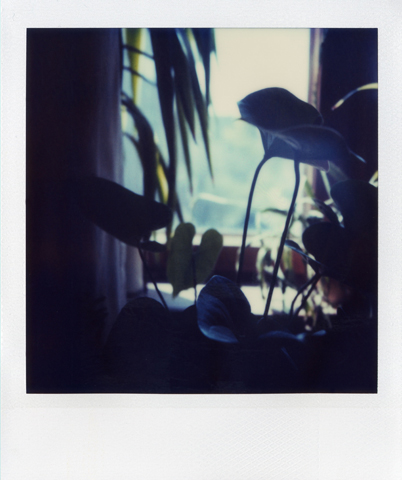 polaroid SX70 I, Jan Tore Jensen