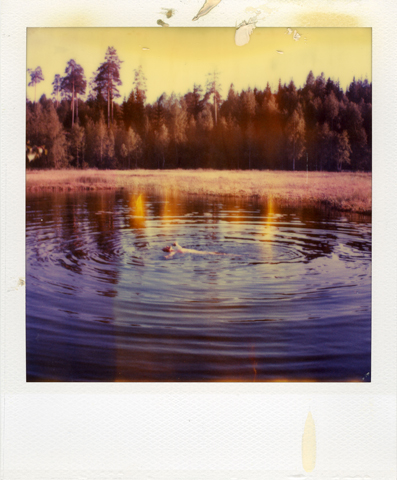 Expired IX, Jan Tore Jensen