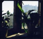 polaroid study III, Jan Tore Jensen